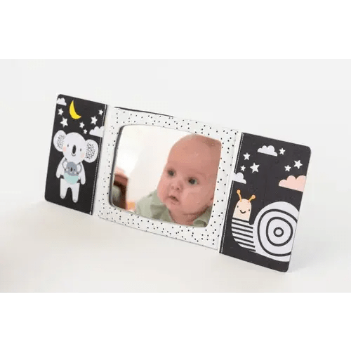Taf Toys Tummy Time Mirror Book | Baby Bunting AU