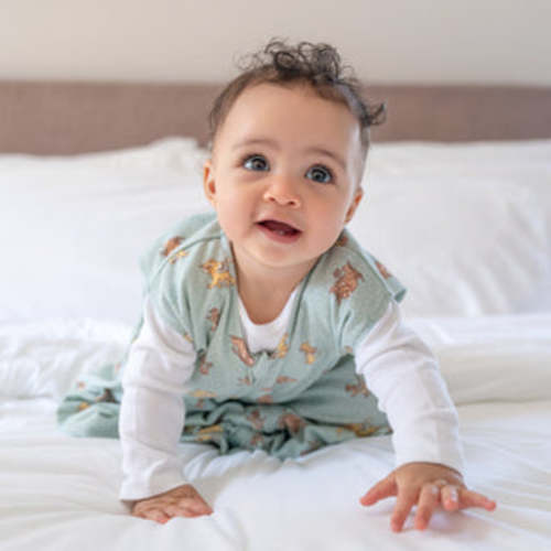 Penguin Micro-Fleece Sleep Sack |Small | HALO