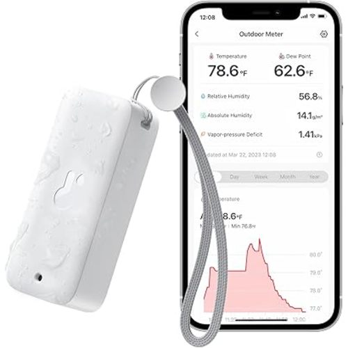 Carseat thermometer