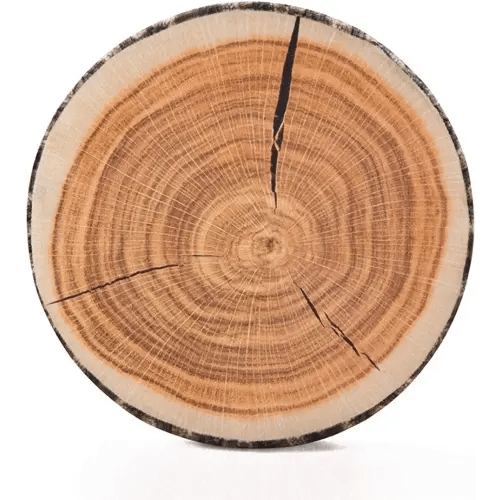 HYSEAS Decorative Round Throw Pillow, 3D Digital Print Comfortable Kids Funny Cute Wood Log Pillow Circle Seating Floor Cushion for Home, Couch, Sofa, Bedroom, Living Room Decor, Stump