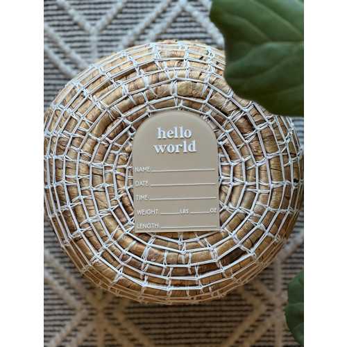 Hello World Baby Stat Sign | Marker Included | Hospital Birth Stat Sign | Acrylic Birth Announcement | Hello World Sign | Birth Announcement