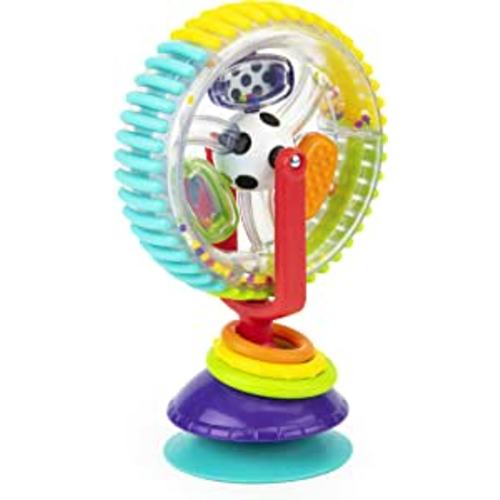 Sassy Wonder Wheel Activity Center