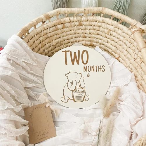 Winnie Baby Milestone Marker for The Pooh Baby Shower Classic Winnie Baby Monthly Announcement Sign Newborn Sign Photo Prop Baby Stuff