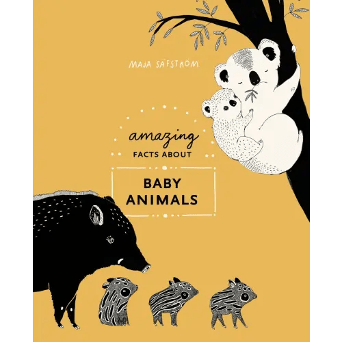 Amazing Facts About Baby Animals a book by Maja Säfström - Bookshop.org US