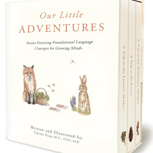 Our Little Adventures: Stories Featuring Foundational Language Concepts for Growing Minds (Our Little Adventures Series)