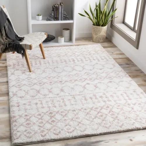 Southwestern Indoor Rug
