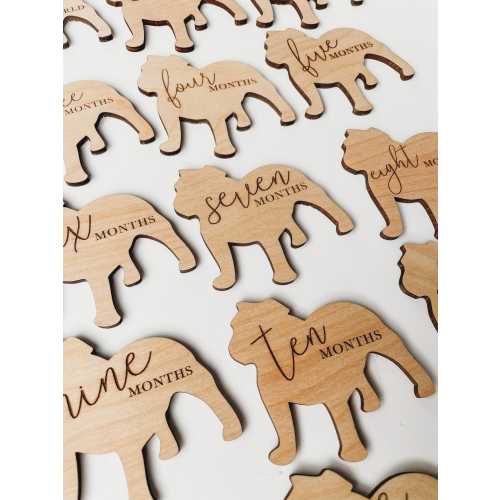 Dog Nursery Bulldog Monthly Milestone Plaques | Baby Shower Gift | Custom Bulldog Newborn Baby Gift for Dog Nursery | Dog Mom Gift