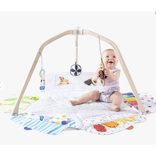 Lovevery The Play Gym