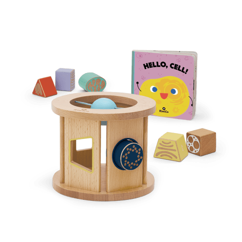 Biology Blocks Shape Sorter