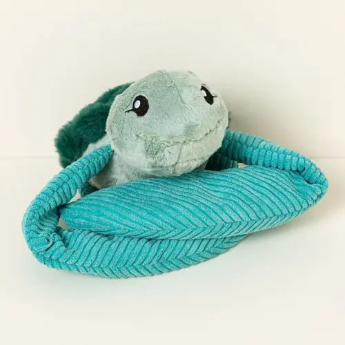 Sea Turtle