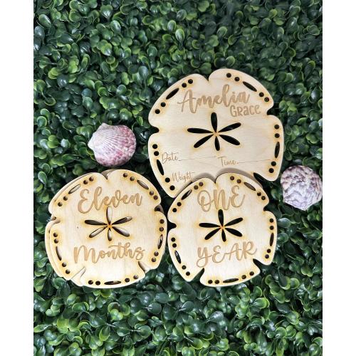 Ocean Theme Baby Announcement Set: Sand Dollar Birth Stats, Wooden Milestone Discs