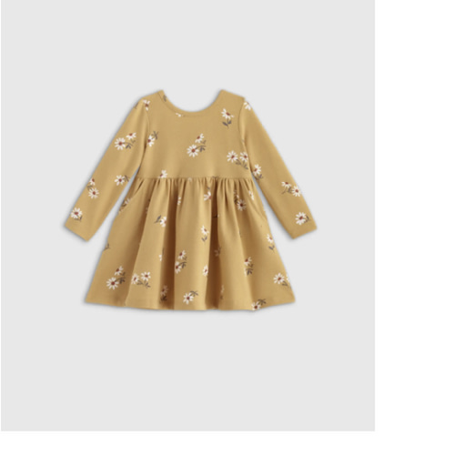 Organic Cotton Long Sleeve Skater Dress - Baby Girl