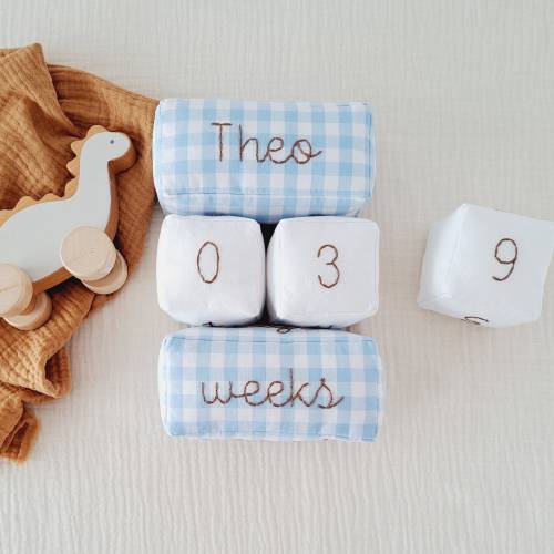 Baby Milestone Blocks w/Name (Raymond)