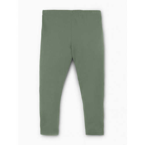 Thyme / 3-6M