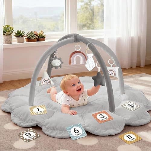 5-in-1 Thick & Plush Baby Play Gym, Baby Play Mats for Floor, Tummy Time Mat with 6 Toys, Convertible Stage-Based Developmental from Babies to Toddlers, Ball Pit, Pet Cushion Cloudico, Grey