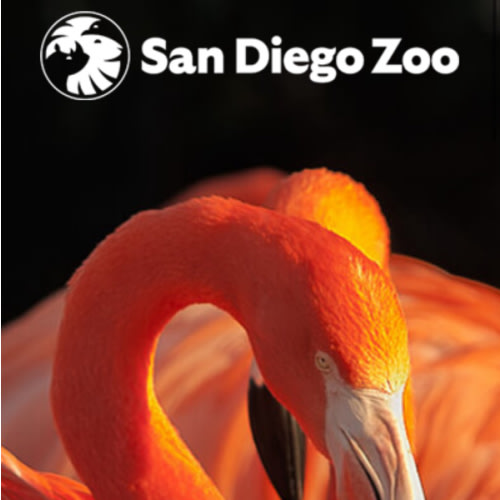 San Diego Zoo Gift Card