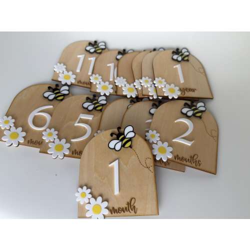 3D Bee daisy Monthly Milestone Discs | Arch Acrylic Monthly Milestone Markers | Monthly Photo Props | Baby Photo Prop| New Baby Gift
