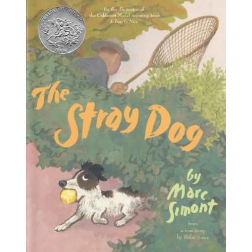 The Stray Dog: A Caldecott Honor Award Winner | Books & Books | Your Locally Owned Independent Bookseller