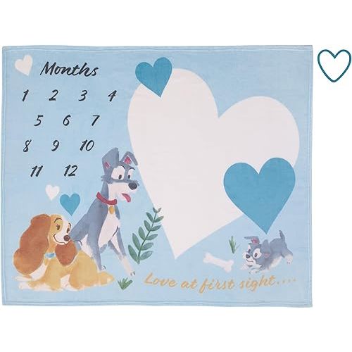 NoJo Disney Lady & The Tramp Blue, White, and Gold Love at First Sight Super Soft Photo Op Milestone Baby Blanket