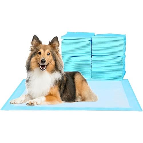 Super Absorbent Waterproof Dog and Puppy Pet Training Pad, Housebreaking Pet Pad, 40-Count Extra Middle-Size, 30’’X30’’, Blue