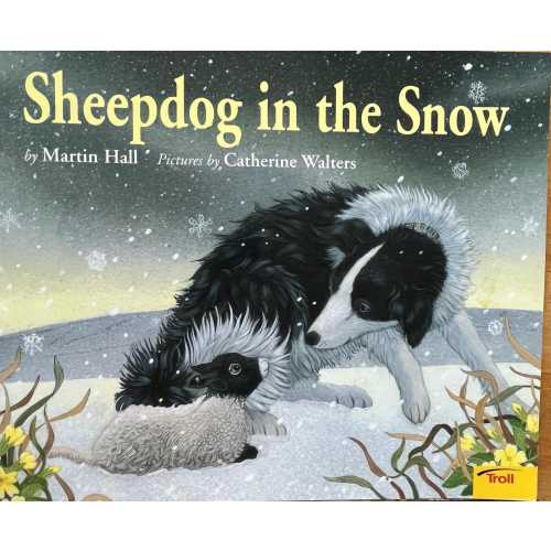 Sheepdog in the Snow by Martin Hall Pictures by Catherine Walters