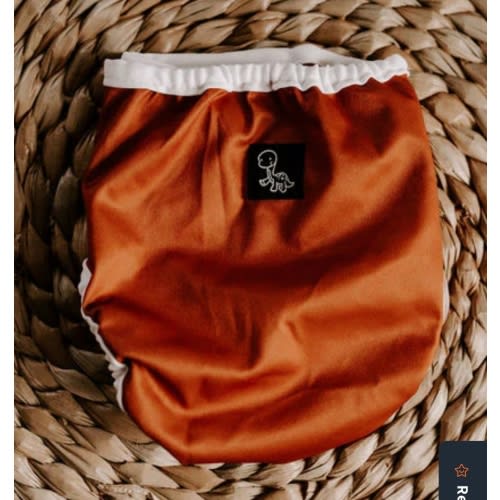 Rust Newborn Reusable Cloth Diaper Cover – Dino Diapers
