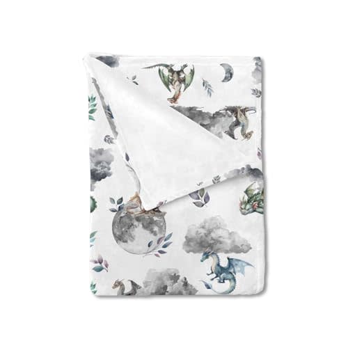 Watercolor Dragons Fairytale Baby Blankets for Boy & Girl, Dragon Wings & Leaves Moon Clouds Pattern, Soft Swaddle & Toddler Newborn Daycare Infant Crib Blanket, 30x40