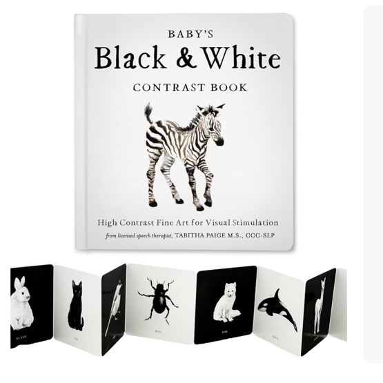 Baby's Black and White Contrast Book: High-Contrast Art for Visual Stimulation at Tummy Time (Tabitha Paige Children's Book Series)