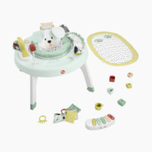 Fisher-Price 3-in-1 Snugapuppy Activity Center - Multi