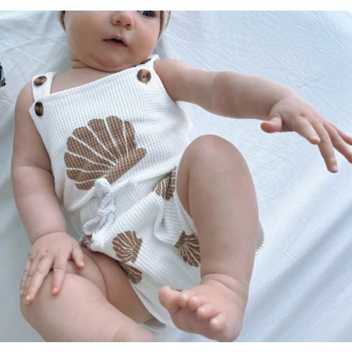 Seashell Set