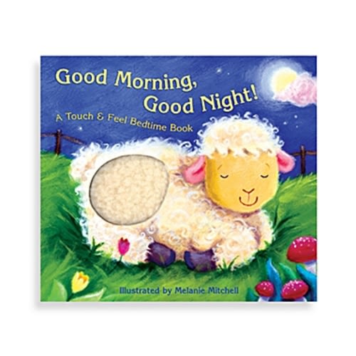 Good MorningGood Night! Touch & Feel BookGood MorningGood Night! Touch & Feel Book