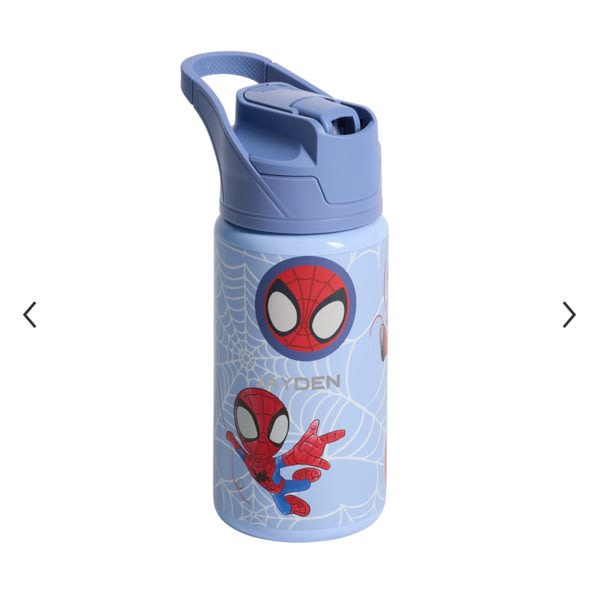 Marvel's Spidey and His Amazing Friends Glow-In-The-Dark Mackenzie Water Bottle