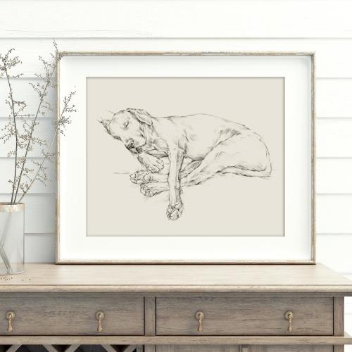 Black Labrador Retriever Sketch Art Print - Ethan Harper's Dog Drawing for Wall Decor