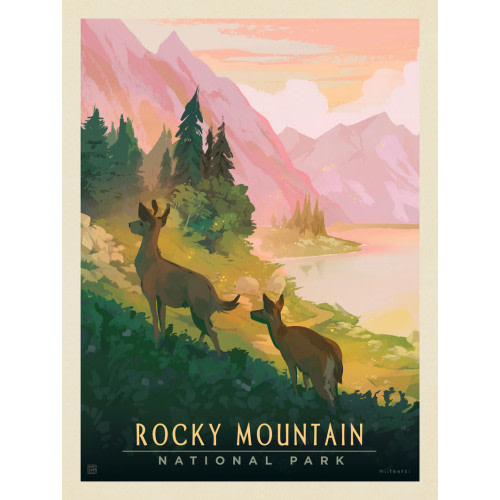 Rocky Mountain National Park: Deer