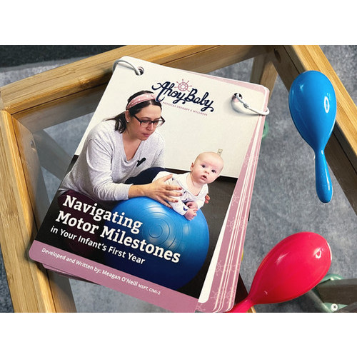 Navigating Motor Milestones in Your Infant's First Year by Meagan O'Neill | Ahoy Baby