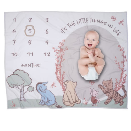 Pooh Bear & Pals Milestone Baby Blanket