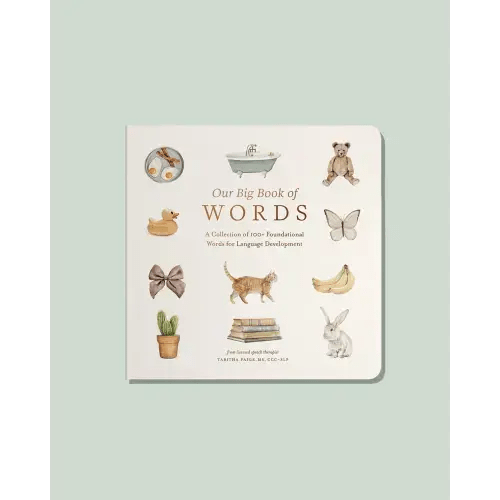 Our Big Book of Words