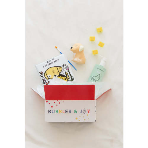Pet Party Box – BubblesandJoy
