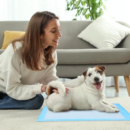 Super Absorbent Waterproof Dog and Puppy Pet Training Pad, Housebreaking Pet Pad, 100-Count Small-Size, 22"x22", Blue