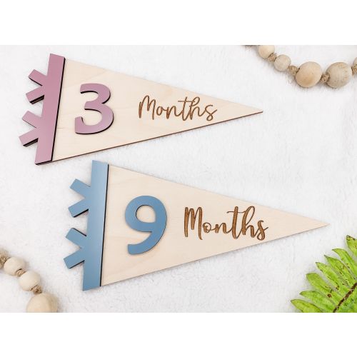 Wooden Pennant Monthly Milestone Markers for Baby Photos | Engraved Wood Interchangeable Milestone Cards | Personalized Baby Sign
