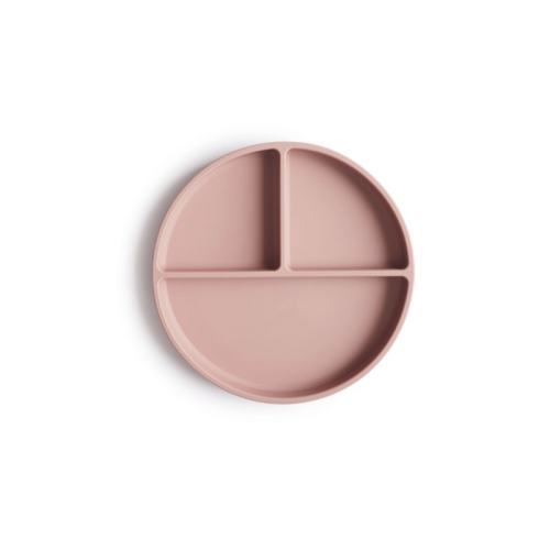 Silicone Suction Plate