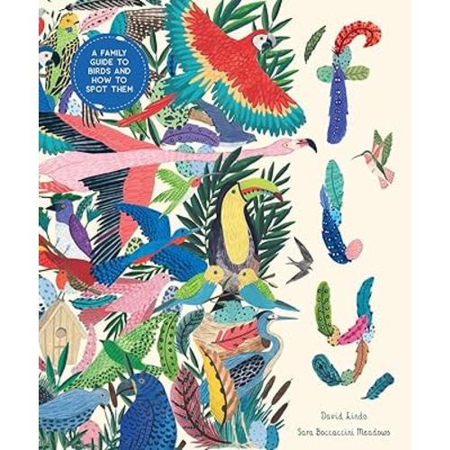 Fly: A Family Guide to Birds and How to Spot Them (In Our Nature)