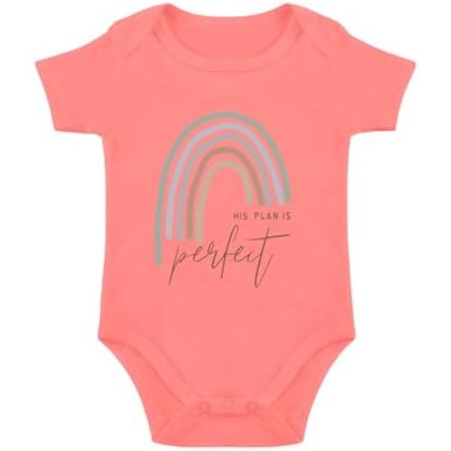 His Plan Is Perfect Bodysuit Clothes Rainbow Baby Girl Pregnancy Announcement Rainbow Newborn Baby Romper