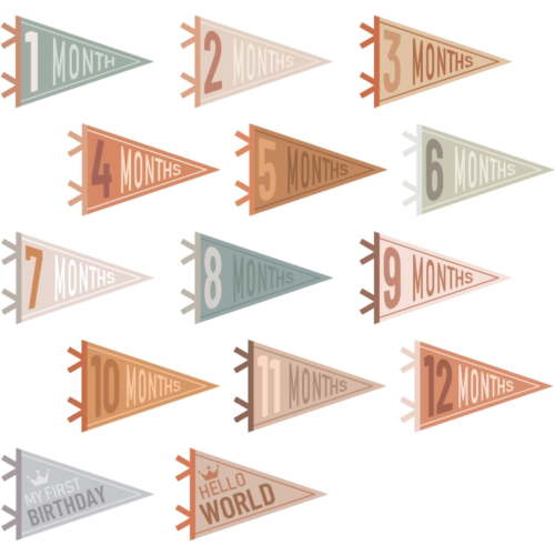 LZLINGMEI 14 Pcs Baby Felt Pennant Milestone Signs Monthly Milestone Banner Flags Pennant Triangle Banner Age Milestone Flag Signs for Boy Girl Newborn Birthday Party Decor(Assorted Colors)