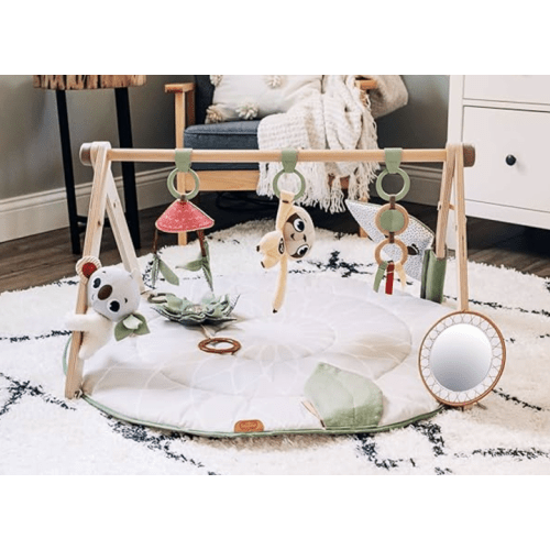 Boho Chic Luxe Developmental Gymini - Ages 0-36 Months