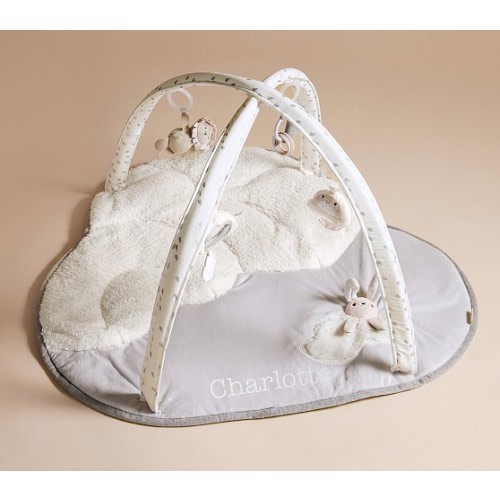 Skip Hop x pbk Baby Activity Gym | Pottery Barn Kids