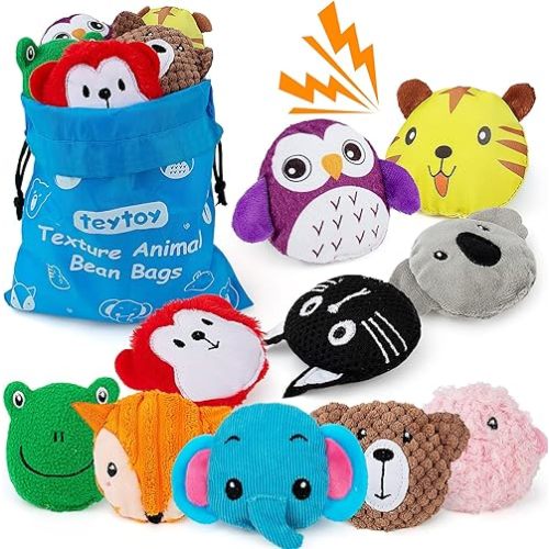 teytoy Sensory Bean Bag for Kids 10 Pack,Texture Sensory Beanbags,Sensory Toys for Autism,Animal Sensory Fine Motor Toys with Storage Bag for Boys and Girls