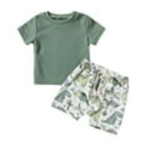 Toddler Boys Outfits Short Sleeve Cartoon Cow Dinosaur Prints T Shirt Pullover Tops Shorts Sets Clothing Sets for Boys Size 6-9 Months