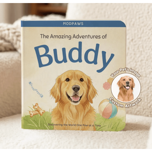 Amazing Adventures of Bear
