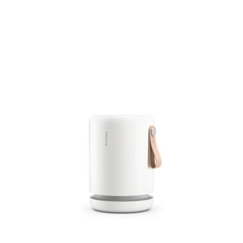 Molekule Air Mini+ Purifier | The Best PECO-HEPA Air Cleaner for Bedrooms